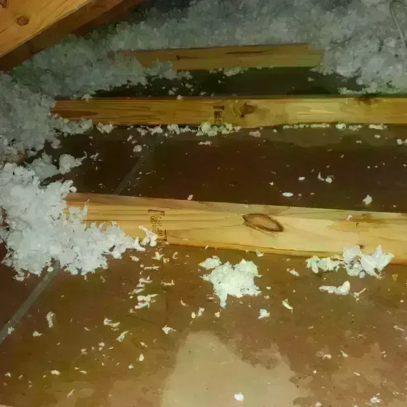 Attic Water Damage in Falkville, AL